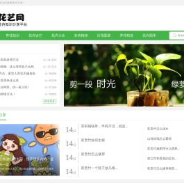 花艺知识网 - 专业的花卉知识分享平台