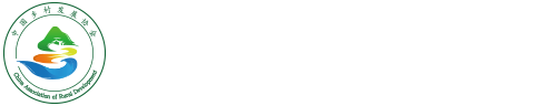 中国乡村发展协会